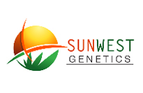 Sunwest Genetics Seeds