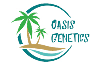 Oasis Genetics Seeds