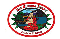 Big Budda Seeds