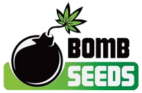 Bomb Seeds