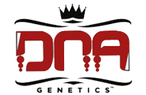 DNA Genetics Seeds