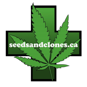 Marijuana Seeds Logo