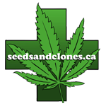 Seeds and Clones