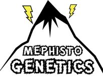 Mephisto Genetics Seeds