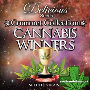 Gourmet Collection #1 Seeds