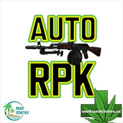 Auto RPK Seeds