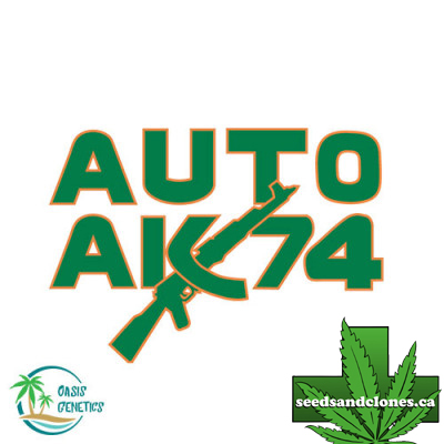 Auto AK74 Seeds
