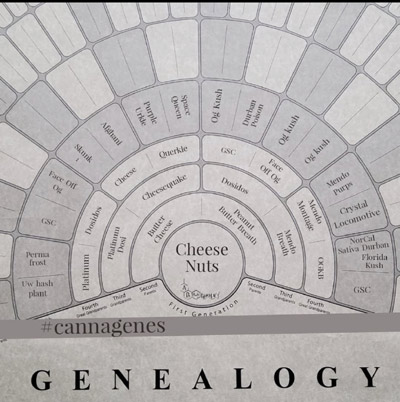 Cheese Nuts Genealogy