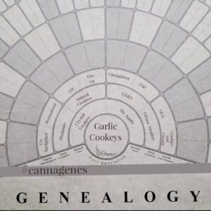 Garlic Cookeys Genealogy