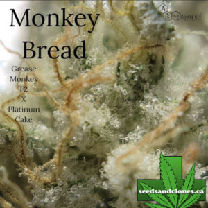 Monkey Bread Seeds