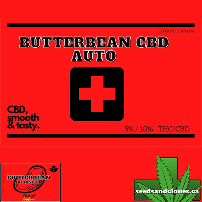 ButterBean CBD Auto Seeds