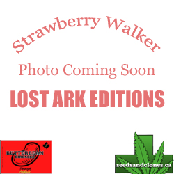 Strawberry Walker Auto