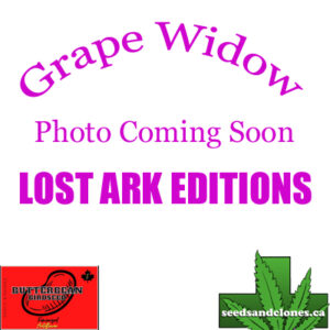 Grape Widow Auto Seeds
