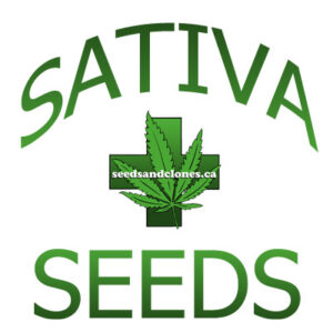 Sativa Seeds