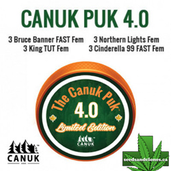 Canuk Puck 4.0 Seeds