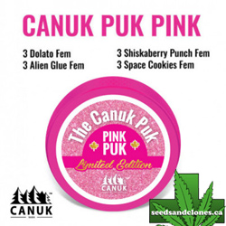 Pink Canuk Puck