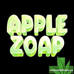 Apple Zoap Seeds