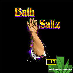 Bath Saltz Seeds