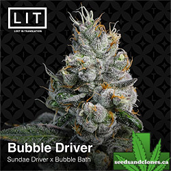 Bubble Driver Seeds