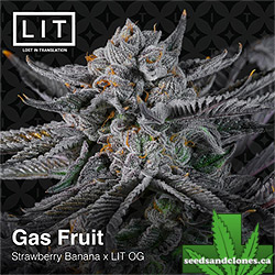 Gas Fruit Seeds