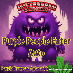 Purple People Eater Auto