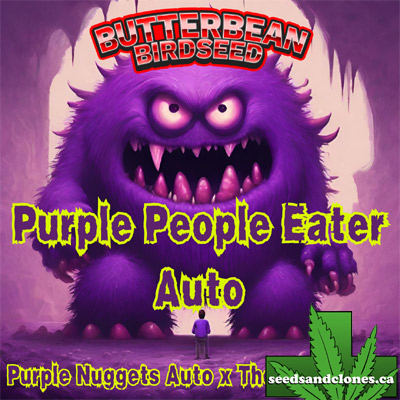 Purple People Eater Auto Seeds