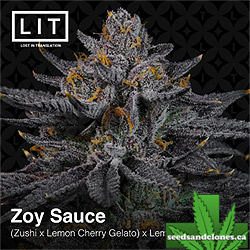 Zoy Sauce Seeds