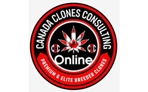 Canada Clones Consulting Online