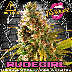 Rudegirl Seeds