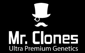 Mr Clones