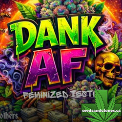 Dank AF Seeds