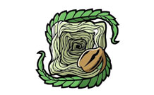 Square One Genetics Seeds