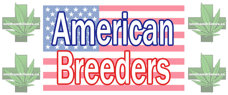 American Breeders