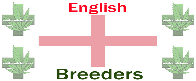 english seed breeders