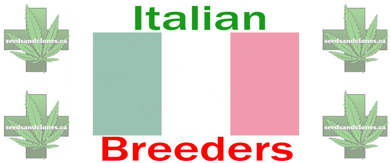 Italian Seed Breeders