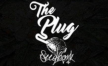 The Plug Seedbank