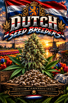 Dutch Seed Breeders