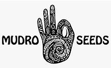 Mudro Seeds